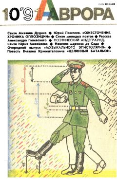 Читайте книги онлайн на Bookidrom.ru! Бесплатные книги в одном клике Виталий Кржишталович - Целинный батальон