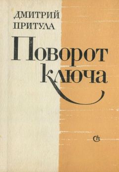 Читайте книги онлайн на Bookidrom.ru! Бесплатные книги в одном клике Дмитрий Притула - Поворот ключа