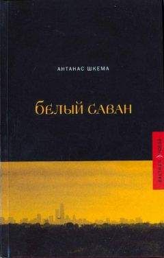 Читайте книги онлайн на Bookidrom.ru! Бесплатные книги в одном клике Антанас Шкема - Солнечные дни