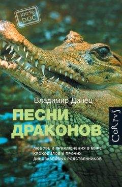 Читайте книги онлайн на Bookidrom.ru! Бесплатные книги в одном клике Владимир Динец - Песни драконов. Любовь и приключения в мире крокодилов и прочих динозавровых родственников