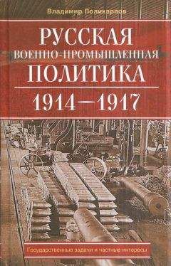 Читайте книги онлайн на Bookidrom.ru! Бесплатные книги в одном клике Владимир Поликарпов - Русская военно-промышленная политика. 1914—1917. Государственные задачи и частные интересы.