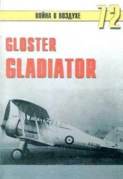 Читайте книги онлайн на Bookidrom.ru! Бесплатные книги в одном клике С. Иванов - Gloster Gladiator