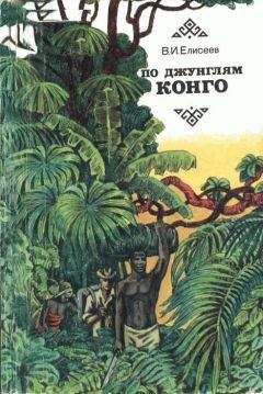 Читайте книги онлайн на Bookidrom.ru! Бесплатные книги в одном клике Василий Елисеев - По джунглям Конго (Записки геолога)
