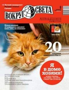 Читайте книги онлайн на Bookidrom.ru! Бесплатные книги в одном клике Вячеслав Степенцев - Клик победы