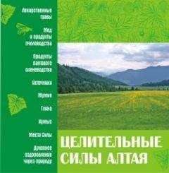 Читайте книги онлайн на Bookidrom.ru! Бесплатные книги в одном клике Коллектив Авторов - Целительные силы Алтая