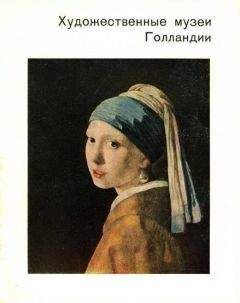 Читайте книги онлайн на Bookidrom.ru! Бесплатные книги в одном клике Ксения Егорова - Художественные музеи Голландии