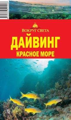 Читайте книги онлайн на Bookidrom.ru! Бесплатные книги в одном клике Андрей Рянский - Дайвинг. Красное море