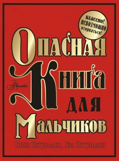 Читайте книги онлайн на Bookidrom.ru! Бесплатные книги в одном клике Хэл Иггульден - Опасная книга для мальчиков