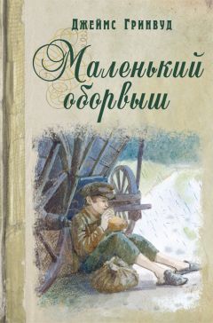Читайте книги онлайн на Bookidrom.ru! Бесплатные книги в одном клике Джеймс Гринвуд - Маленький оборвыш