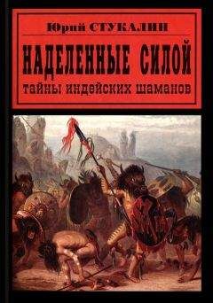 Читайте книги онлайн на Bookidrom.ru! Бесплатные книги в одном клике Юрий Стукалин - Наделенные силой. Тайны индейских шаманов