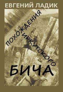 Читайте книги онлайн на Bookidrom.ru! Бесплатные книги в одном клике Евгений Ладик - Похождения иркутского бича