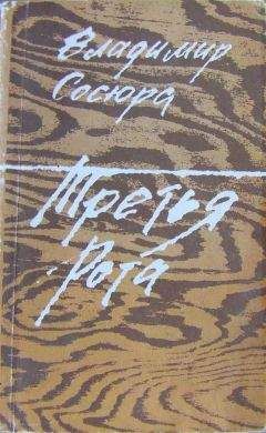 Читайте книги онлайн на Bookidrom.ru! Бесплатные книги в одном клике Владимир Сосюра - Третья рота