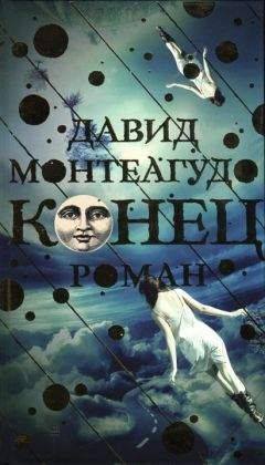 Читайте книги онлайн на Bookidrom.ru! Бесплатные книги в одном клике Давид Монтеагудо - Конец