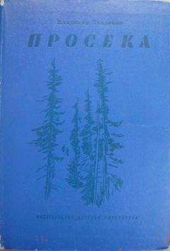 Читайте книги онлайн на Bookidrom.ru! Бесплатные книги в одном клике Владимир Ляленков - Просека