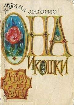 Читайте книги онлайн на Bookidrom.ru! Бесплатные книги в одном клике Джина Лагорио - Она и кошки