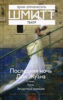 Читайте книги онлайн на Bookidrom.ru! Бесплатные книги в одном клике Эрик-Эмманюэль Шмитт - Гость
