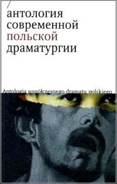 Читайте книги онлайн на Bookidrom.ru! Бесплатные книги в одном клике Магдалена Фертач - Абсент