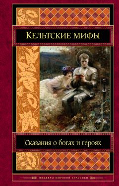 Читайте книги онлайн на Bookidrom.ru! Бесплатные книги в одном клике Коллектив авторов - Кельтские мифы