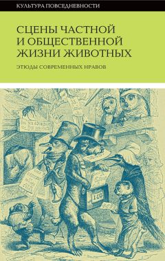 Читайте книги онлайн на Bookidrom.ru! Бесплатные книги в одном клике Коллектив авторов - Сцены частной и общественной жизни животных