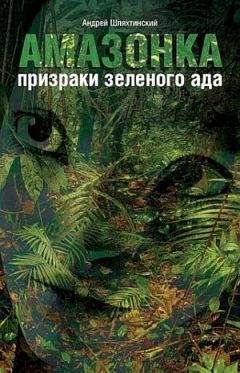 Читайте книги онлайн на Bookidrom.ru! Бесплатные книги в одном клике Андрей Шляхтинский - Амазонка: призраки зеленого ада