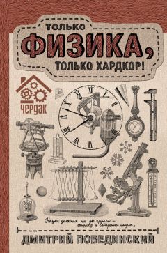 Читайте книги онлайн на Bookidrom.ru! Бесплатные книги в одном клике Дмитрий Побединский - Чердак. Только физика, только хардкор!