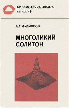 Читайте книги онлайн на Bookidrom.ru! Бесплатные книги в одном клике Александр Филиппов - Многоликий солитон