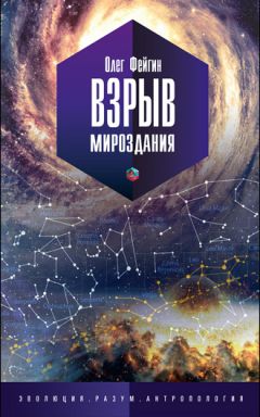 Читайте книги онлайн на Bookidrom.ru! Бесплатные книги в одном клике Олег Фейгин - Взрыв мироздания