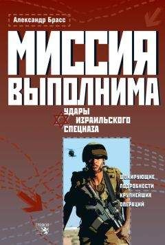 Читайте книги онлайн на Bookidrom.ru! Бесплатные книги в одном клике Александр Брасс - Миссия выполнима. Удары израильского спецназа