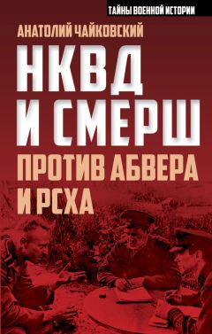 Читайте книги онлайн на Bookidrom.ru! Бесплатные книги в одном клике Анатолий Чайковский - НКВД и СМЕРШ против Абвера и РСХА