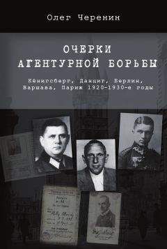 Читайте книги онлайн на Bookidrom.ru! Бесплатные книги в одном клике Олег Черенин - Очерки агентурной борьбы: Кёнигсберг, Данциг, Берлин, Варшава, Париж. 1920–1930-е годы