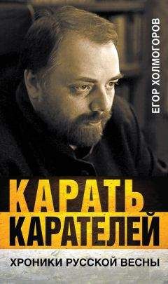 Читайте книги онлайн на Bookidrom.ru! Бесплатные книги в одном клике Егор Холмогоров - Карать карателей. Хроники Русской весны
