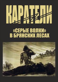 Читайте книги онлайн на Bookidrom.ru! Бесплатные книги в одном клике Петр Головачев - Каратели