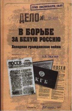 Читайте книги онлайн на Bookidrom.ru! Бесплатные книги в одном клике Андрей Окулов - В борьбе за Белую Россию. Холодная гражданская война