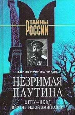 Читайте книги онлайн на Bookidrom.ru! Бесплатные книги в одном клике Борис Прянишников - Незримая паутина