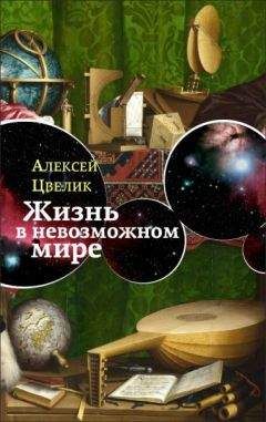 Читайте книги онлайн на Bookidrom.ru! Бесплатные книги в одном клике Алексей Цвелик - Жизнь в невозможном мире: Краткий курс физики для лириков