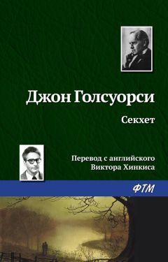 Читайте книги онлайн на Bookidrom.ru! Бесплатные книги в одном клике Джон Голсуорси - Секхет