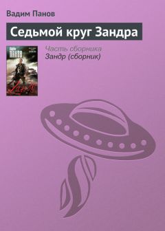 Читайте книги онлайн на Bookidrom.ru! Бесплатные книги в одном клике Вадим Панов - Седьмой круг Зандра