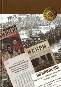 Читайте книги онлайн на Bookidrom.ru! Бесплатные книги в одном клике Коллектив авторов - Россия в годы Первой мировой войны: экономическое положение, социальные процессы, политический кризис