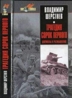 Читайте книги онлайн на Bookidrom.ru! Бесплатные книги в одном клике Владимир Шерстнев - Трагедия сорок первого. Документы и размышления