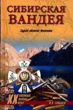 Читайте книги онлайн на Bookidrom.ru! Бесплатные книги в одном клике Вадим Гольцев - Сибирская Вандея. Судьба атамана Анненкова