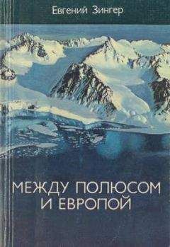 Читайте книги онлайн на Bookidrom.ru! Бесплатные книги в одном клике Евгений Зингер - Между Полюсом и Европой