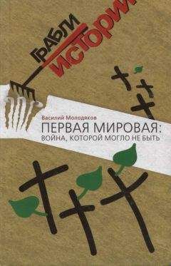 Читайте книги онлайн на Bookidrom.ru! Бесплатные книги в одном клике Василий Молодяков - Первая мировая: война, которой могло не быть