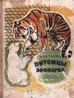 Читайте книги онлайн на Bookidrom.ru! Бесплатные книги в одном клике Вера Чаплина - Питомцы зоопарка