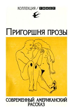 Читайте книги онлайн на Bookidrom.ru! Бесплатные книги в одном клике Рик Басс - Пригоршня прозы: Современный американский рассказ