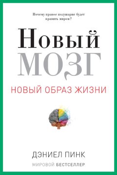 Читайте книги онлайн на Bookidrom.ru! Бесплатные книги в одном клике Дэниел Пинк - Новый мозг