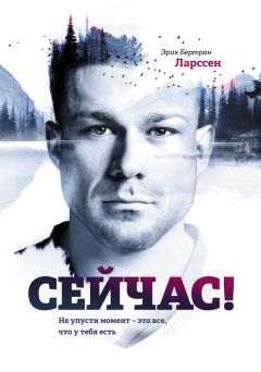 Читайте книги онлайн на Bookidrom.ru! Бесплатные книги в одном клике Эрик Ларссен - Сейчас! Не упусти момент – это все, что у тебя есть