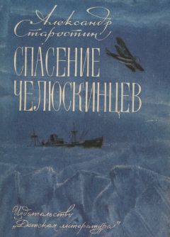 Читайте книги онлайн на Bookidrom.ru! Бесплатные книги в одном клике Александр Старостин - Спасение челюскинцев