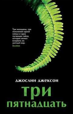 Читайте книги онлайн на Bookidrom.ru! Бесплатные книги в одном клике Джослин Джексон - Три пятнадцать