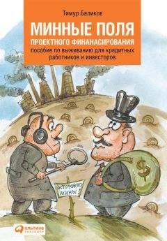 Тимур Беликов - Минные поля проектного финансирования. Пособие по выживанию для кредитных работников и инвесторов