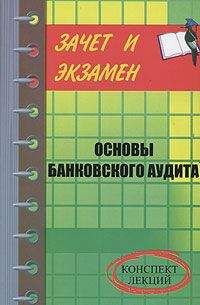 Читайте книги онлайн на Bookidrom.ru! Бесплатные книги в одном клике Денис Шевчук - Банковский аудит